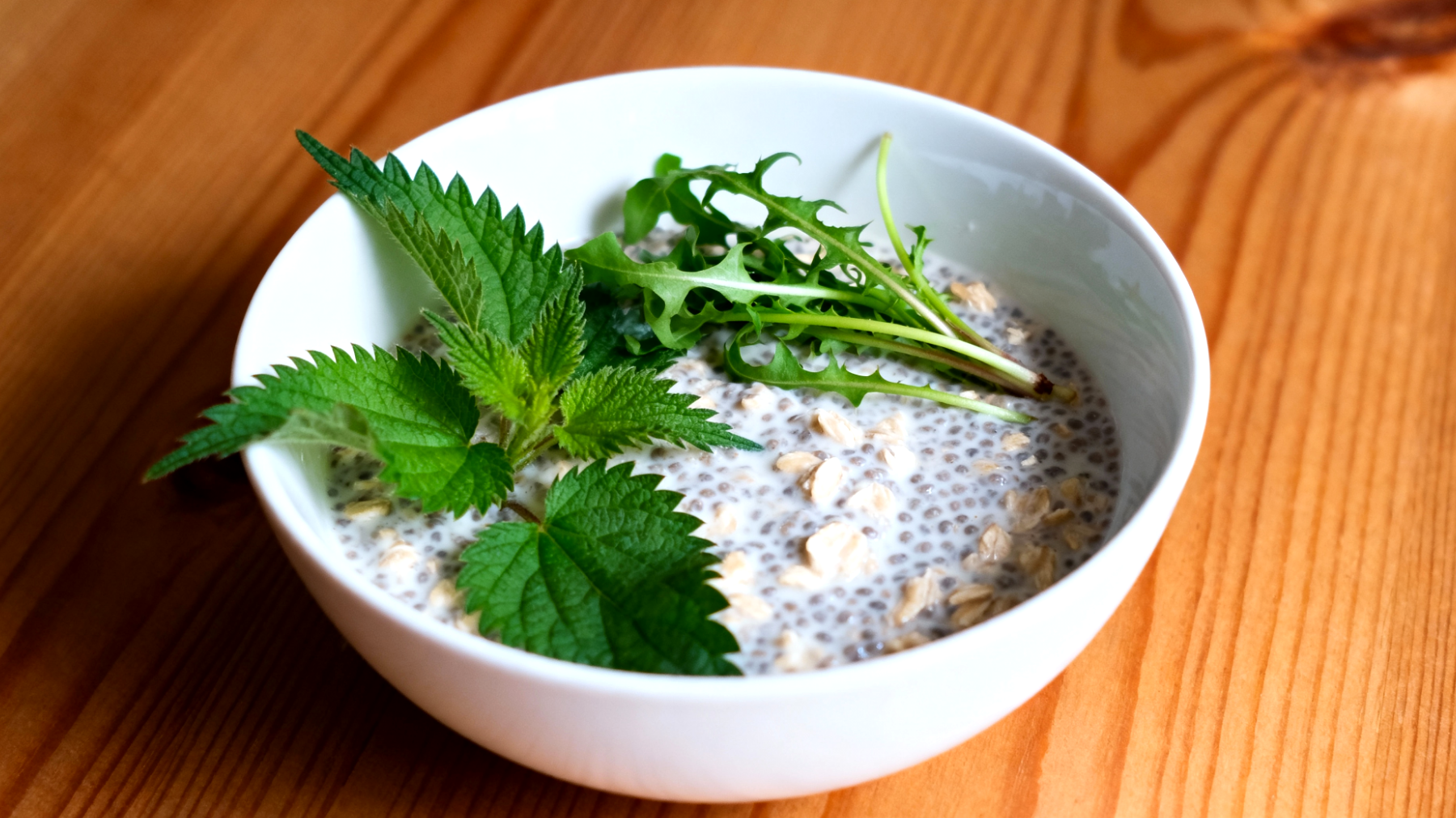 Haferflocken-Chia-Pudding mit Brennnessel und Löwenzahn"